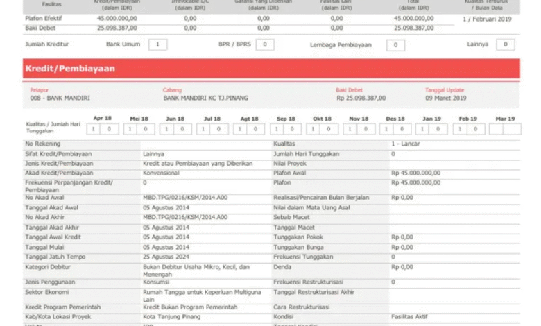 Pinjaman Apa Saja yang Masuk BI Checking (SLIK OJK)