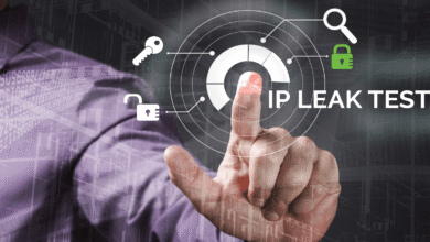 How to Check for IP Leaks When Using a VPN (WebRTC & DNS)