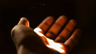 WA Minta Sumbangan Bencana